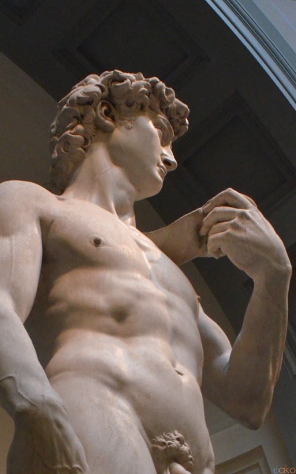 ダビデ像だけじゃない！フィレンツェ アカデミア美術館の魅力 | イタリア観光ガイド