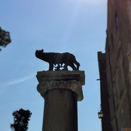 ローマの礎を築いた聖地「カンピドリオ広場」見逃せないポイント5選 | イタリア観光ガイド