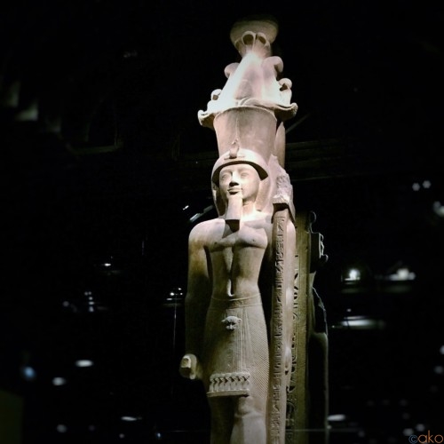 収蔵数世界2位！トリノ「エジプト博物館」を徹底解説！ | イタリア観光ガイド