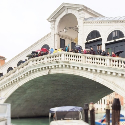 イタリア～ンな風景ナンバーワン！ヴェネツィア・リアルト橋の魅力 | イタリア観光ガイド