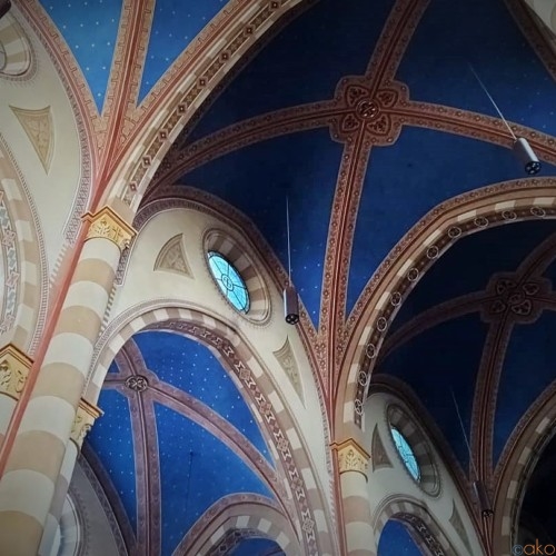 まるでプラネタリウムみたい！アルバ、サン・ロレンツォ大聖堂｜イタリア観光ガイド